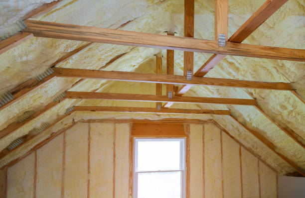 Best Residential Insulation Services  in Fruitland, MD