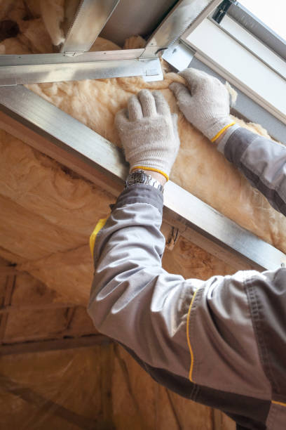 Best Garage Insulation Installation  in Fruitland, MD