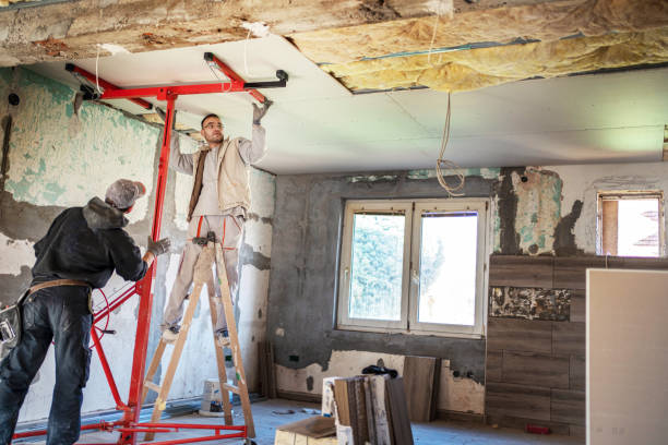 Insulation Inspection Services in Fruitland, MD