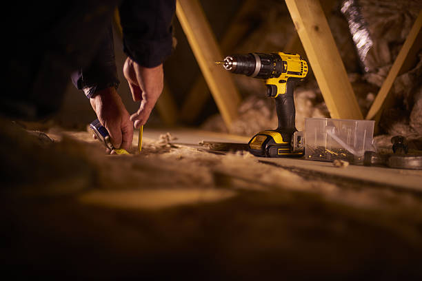 Best Insulation Inspection Services  in Fruitland, MD
